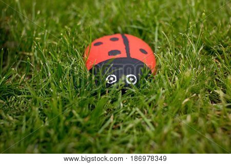 Handmade painted acrylic stone ladybug in garden