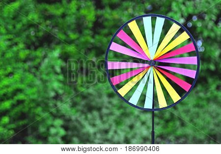 multi colored round pin wheel in front of green shrubs