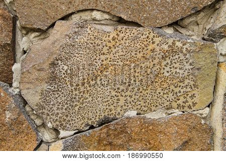 A wall of beige stones of various sizes fastened with concrete. In the center is a stone with an unusual natural pattern.