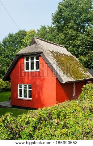 small red cottage with a thatched roof