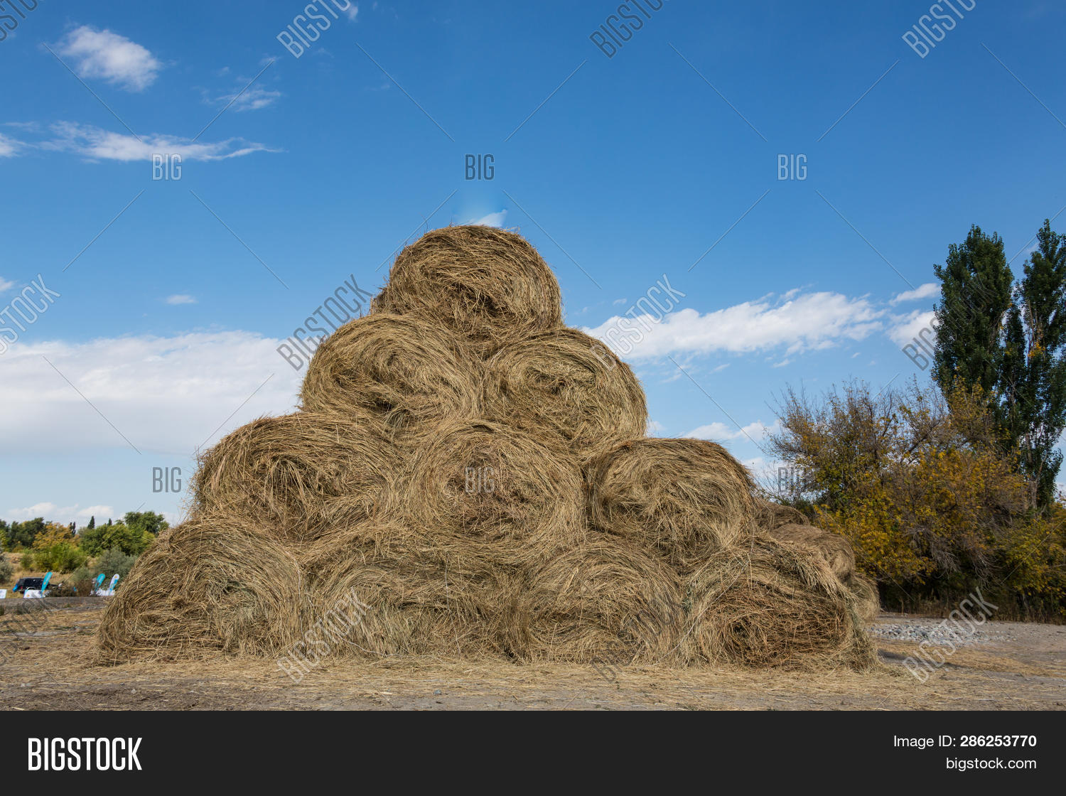 Dry Baled Hay Bales Image & Photo (Free Trial) Bigstock