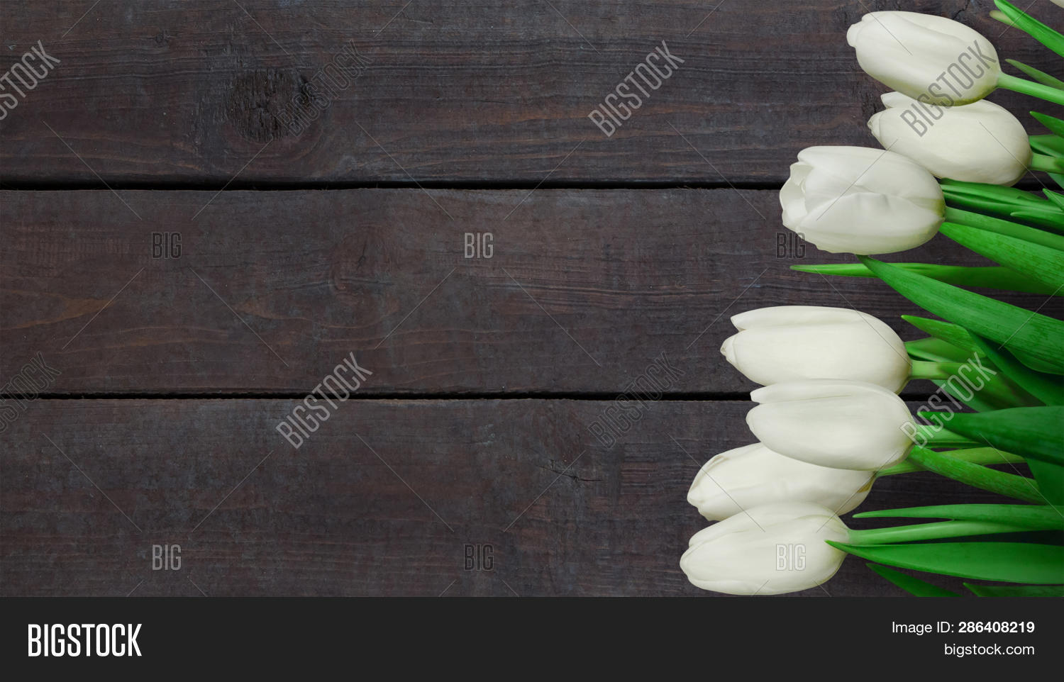 Dark Brown Background Image Photo Free Trial Bigstock