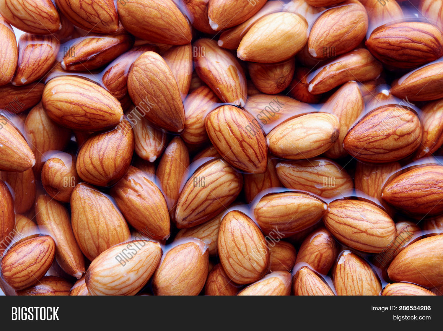 Soaking Almonds Water Image & Photo (Free Trial) Bigstock