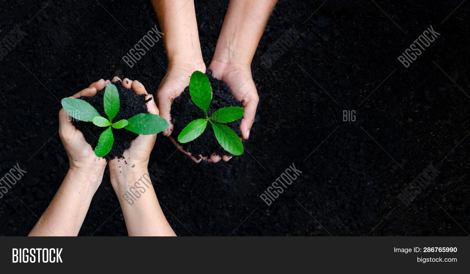 Well cause. Well cause. General service pump. Reading grade 2 cause and effect. Well cause.