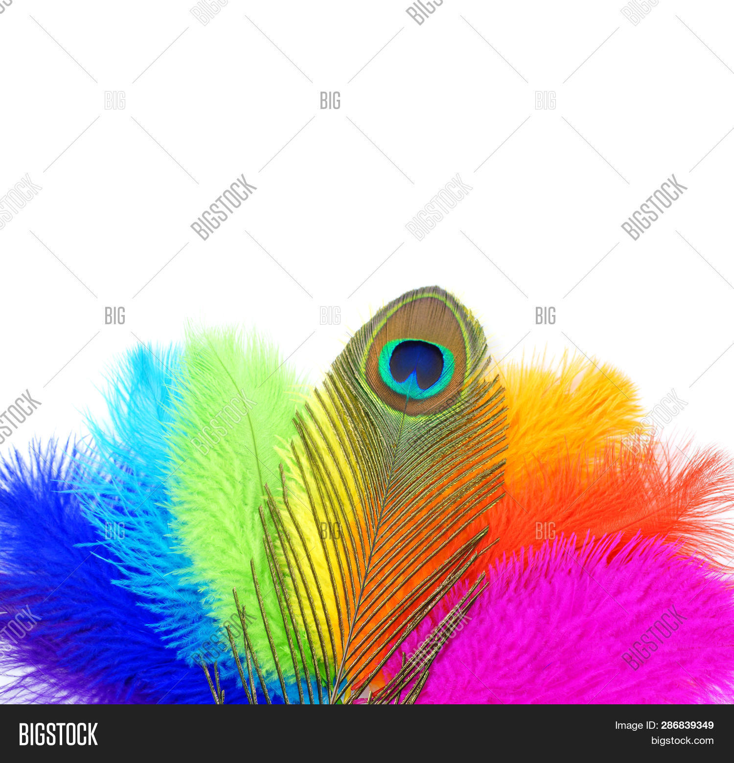 Colored Feathers On Image & Photo (Free Trial) | Bigstock
