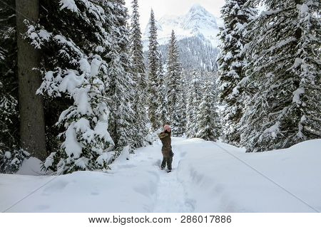 A Young Woman Snowshoeing Through Forests Of Island Lake In Fernie, British Columbia, Canada.  The M