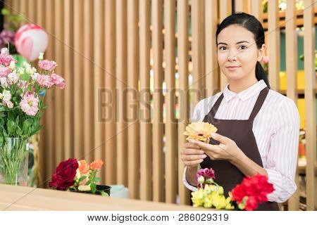 Young woman in florist workwear looking at you while sorting herberas for making floral bouquets for buyers