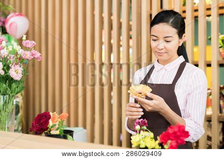Pretty young female florist looking at yellow herbers in her hands while standing by workplace in shop