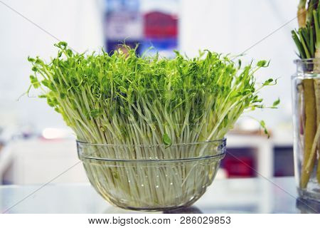 Fresh Snow Pea Sprouts And Green Peas In Wooden Bow