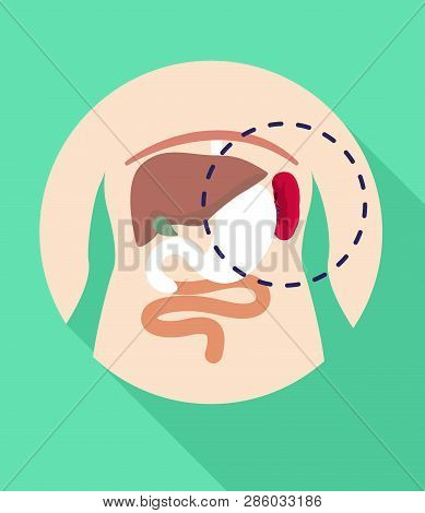 Spleen Location Icon. Flat Illustration Of Spleen Location Vector Icon For Web Design
