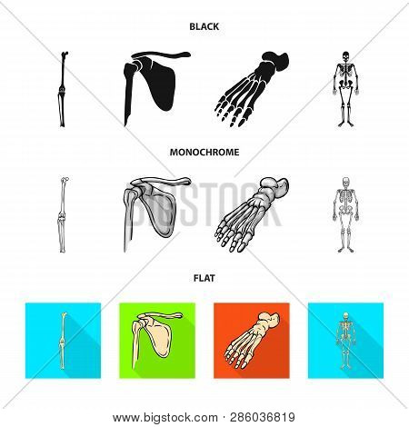Vector Design Of Medicine And Clinic Sign. Set Of Medicine And Medical Vector Icon For Stock.