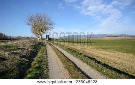 Scenic View Of A Road In The Tuscan Countryside On A Sunny Winter Day