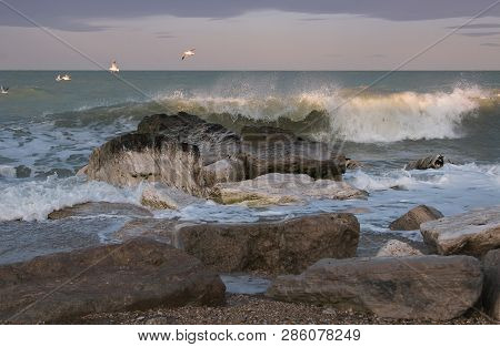 Seagulls Flying Over Stormy Sea In The Marche Region, Italy