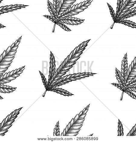 Seamless Pattern With Leaves Of Marijuana With Hatching.  Vector Engraving Texture For Fabrics, Wall