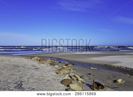 Fresh Water Stream Going Into The Baltic Sea In Winter - Lubiatowo, Pomerania, Poland
