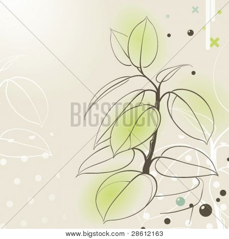 ゴム製植物の鍋の花の背景