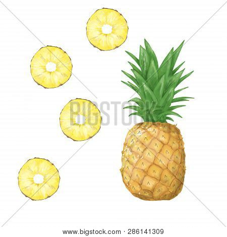 Watercolor Pineapple Clip Art Digital Tripical Geometric Fruit Summer Set On White Background