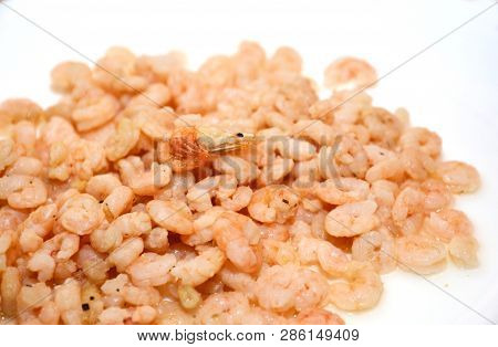 Pile Of Boiled Peeled Shrimps On White Plate. Fresh Tasty Raw Shrimps Seafood.