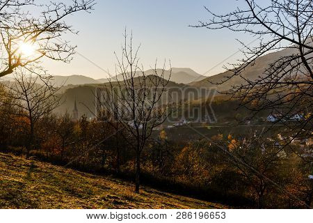 Autumn Colors Of Nature In Alsace, Colorful Leaves And Fgorests, France