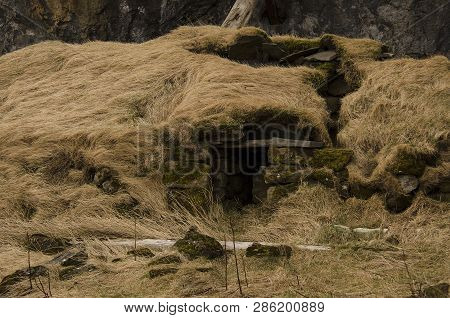Old Stone House Destroyed Ancient Viking Overgrown With Yellow Dry Grass