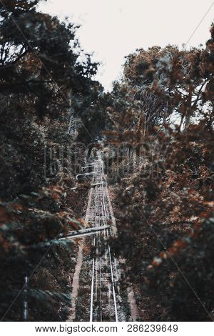 A Narrow Funicular Railway Track Surrounded By Trees And Other Greenery With Modern Lantern Poles Ab