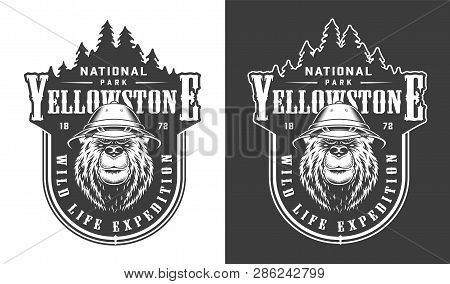 Vintage Yellowstone National Park Label With Serious Bear In Safari Hat In Monochrome Style Isolated