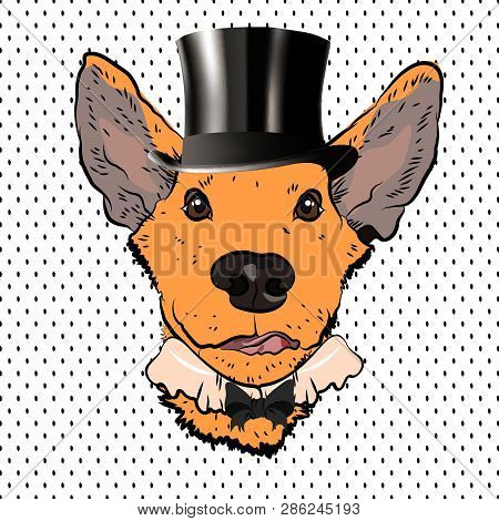 Picture For A T-shirt With Dog In Top Hat. Vector Illustration.
