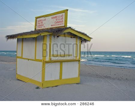 Stoją na plaży