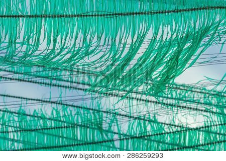 The Old Green Sun Protection Mesh And Lack. Can Not Prevent Sunlight.