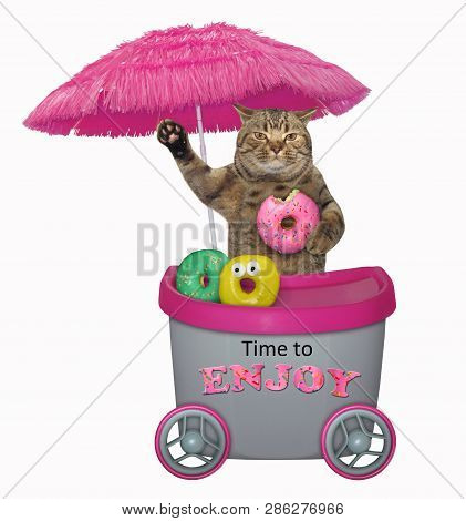 The Funny Cat Is Selling Donuts At The Mini Movable Pink Kiosk. Time To Enjoy. Isolated.
