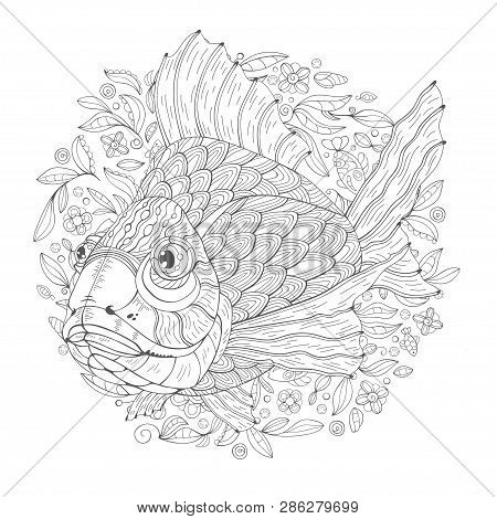 Hand Drawn Aquarium Fish With Algae On A White Background. Image For Children Coloring Book. Vector 