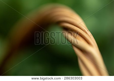 Wicker Basket. Wooden Basket. Rattan Basket. Detail Of A Rattan Basket. Wicker Surface.