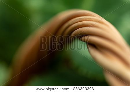 Wicker Basket. Wooden Basket. Rattan Basket. Detail Of A Rattan Basket. Wicker Surface.