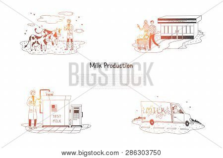 Milk Production - Counting Cows On Field, Producing Milk In Factory, Delivery And Buying Milk In Sup