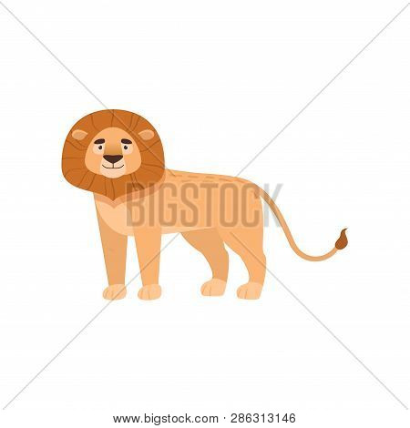 Benignant Lion Stands Sideways Isolated On White Background
