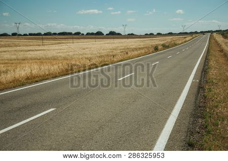 Straight Road Through Rural Landscape Near The Monfrague National Park