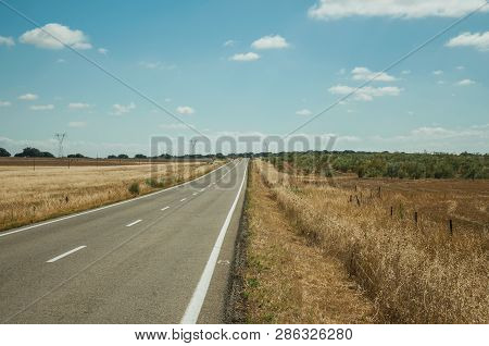 Straight Road Through Rural Landscape Near The Monfrague National Park