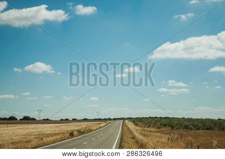Straight Road Through Rural Landscape Near The Monfrague National Park