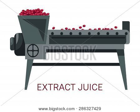 Extract Juice Grapes Squeezing Winemaking Industry Juicer