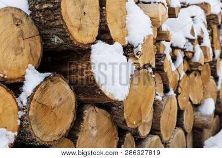 Stacks Of Firewood. Preparation Of Firewood For The Winter. Pile Of Firewood.firewood Background.pre