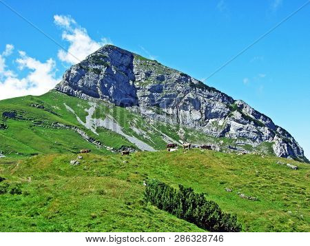 Mountain Hikers On The Alpine Peak Of Margelchopf And In The Alviergruppe Mountain Range - Canton Of