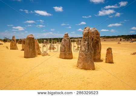 The Pinnacles Dessert In Western Australia With Its Famous Upright Standing Stalagmites In Sand