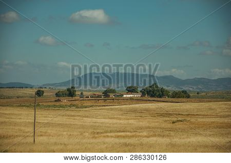Rural Landscape With Cultivated Fields Near The Monfrague National Park