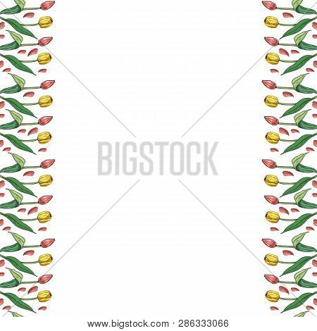 Seamless Border With Pink And Yellow Tulips. Endless Border Pattern With Flowers For Your Design