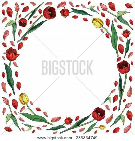 Round Frame With Red, Pink And Yellow Tulips On White Background. Festive Floral Circle With Tulips 