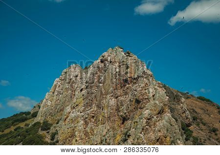 Cliffs Covered By Trees At The Monfrague National Park