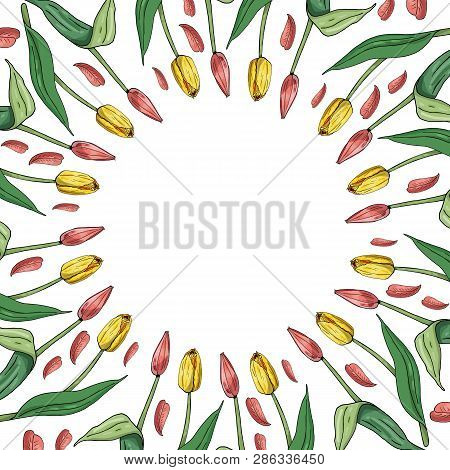 Round Frame With Pink And Yellow Tulips On White Background. Festive Floral Circle For Your Season D