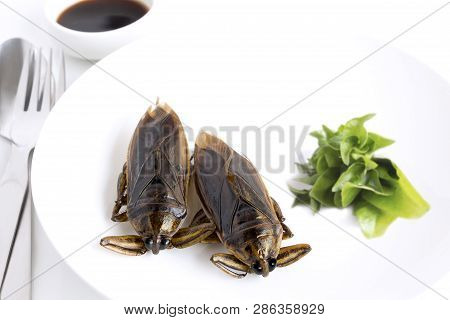 Giant Water Bug Is Edible Insect For Eating As Food Insects Cooking Deep-fried Crispy Snack On White