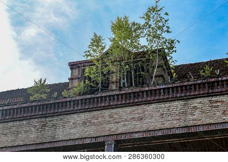 Ruins Of Beelitz-heilstätten Lost Place Berlin Brandenburg;