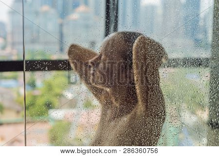 Beautiful Woman In The Shower Behind Glass With Drops On The Background Of A Window With A Panoramic